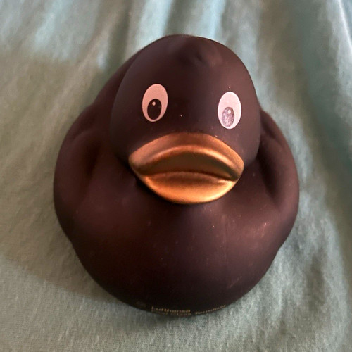 Schwarze badeente - schwarze,