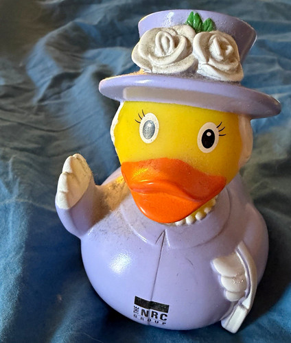 Nrc group badeente - group,